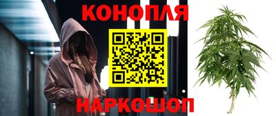 гашик Нальчик