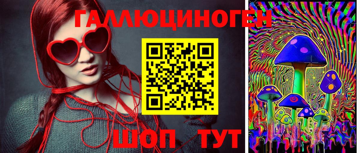 Галлюциногенные грибы Psilocybe Трёхгорный